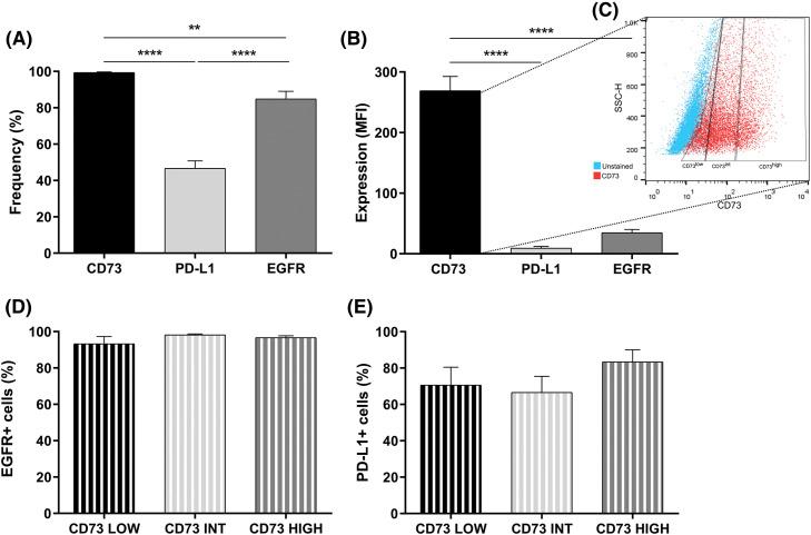 https://cdn.ncbi.nlm.nih.gov/pmc/blobs/4ebc/11964884/4b54c7ac5e24/OncolRes-33-55508-f002.jpg