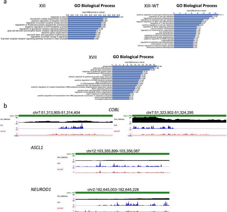https://cdn.ncbi.nlm.nih.gov/pmc/blobs/4ebd/9121554/1a35449a83e1/13072_2022_447_Fig3_HTML.jpg