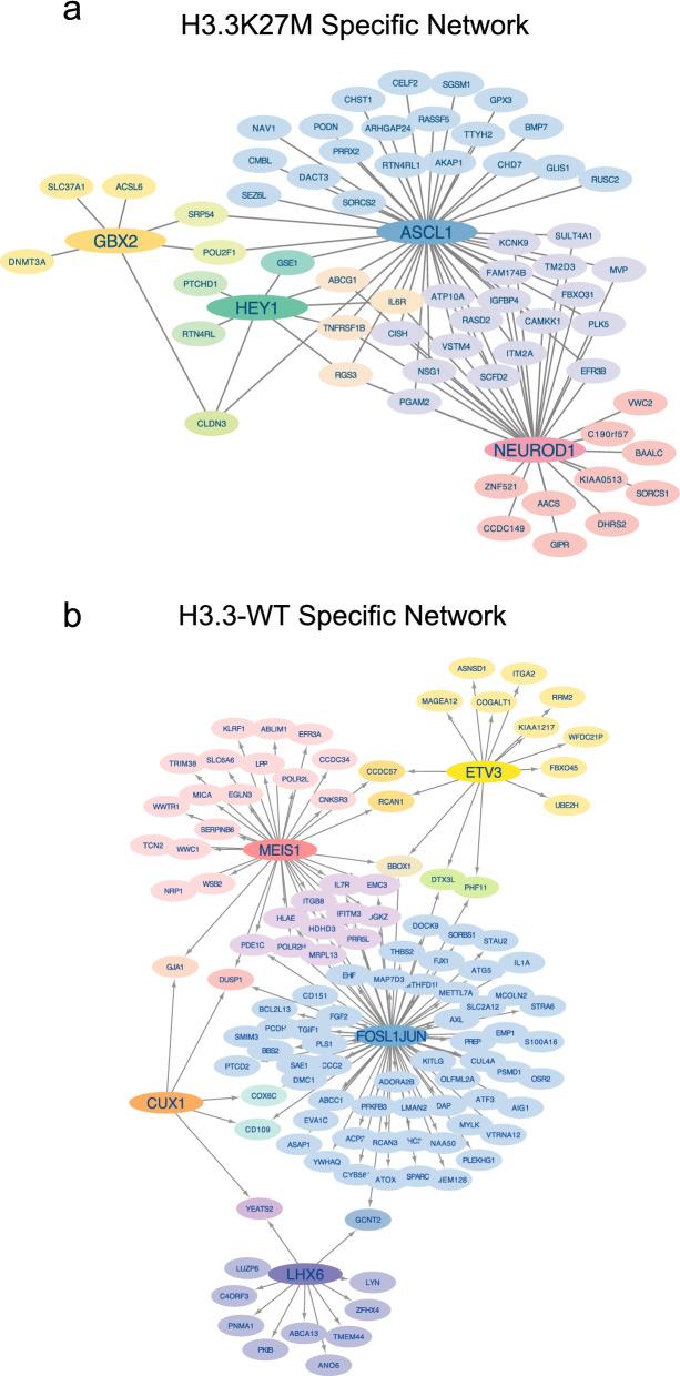 https://cdn.ncbi.nlm.nih.gov/pmc/blobs/4ebd/9121554/31eadc7c78e1/13072_2022_447_Fig5_HTML.jpg