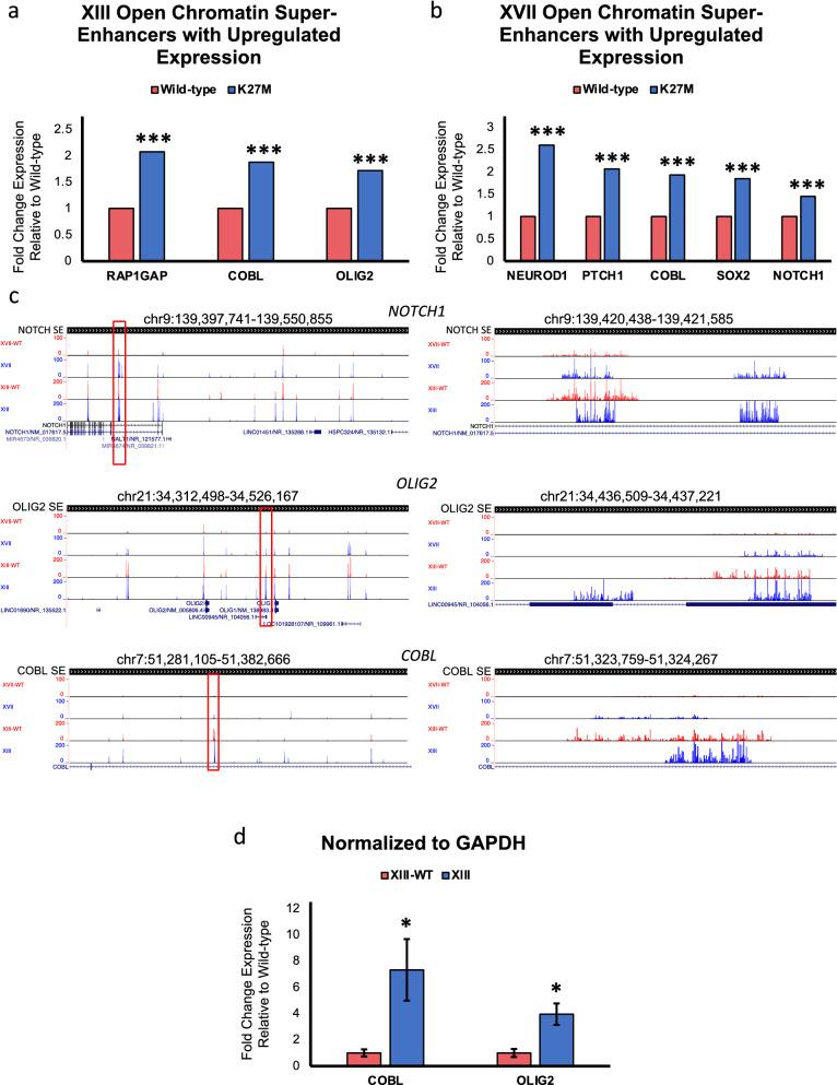 https://cdn.ncbi.nlm.nih.gov/pmc/blobs/4ebd/9121554/778a64d8619d/13072_2022_447_Fig6_HTML.jpg