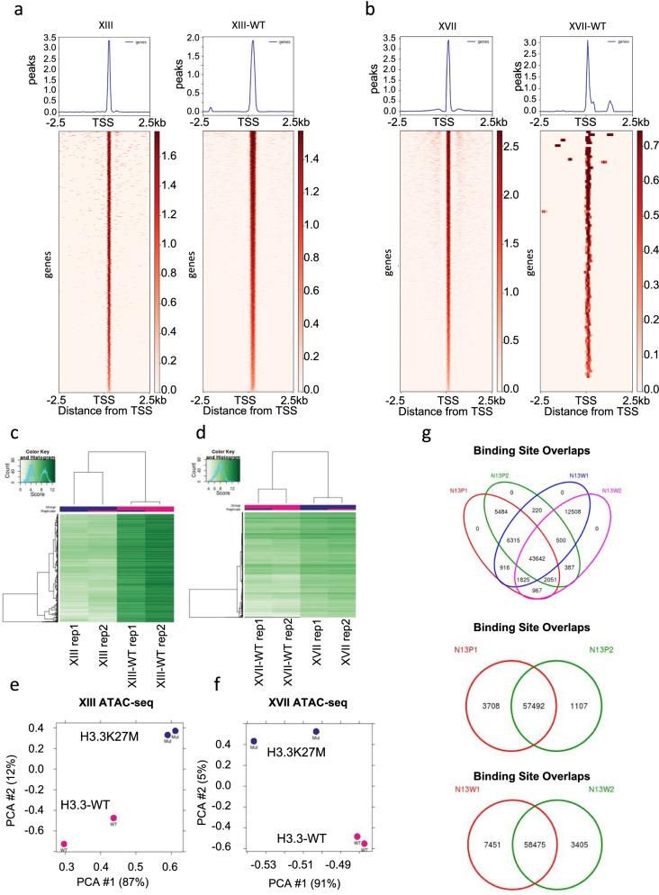 https://cdn.ncbi.nlm.nih.gov/pmc/blobs/4ebd/9121554/8159f2ab4a91/13072_2022_447_Fig1_HTML.jpg