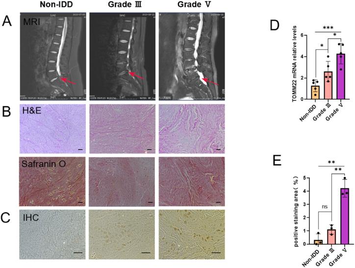 https://cdn.ncbi.nlm.nih.gov/pmc/blobs/4ebe/11407931/0f7a1af9110e/gr8.jpg