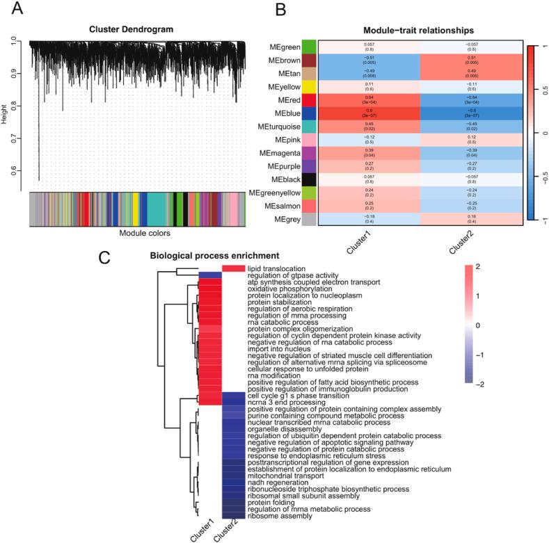 https://cdn.ncbi.nlm.nih.gov/pmc/blobs/4ebe/11407931/c2700f382adf/gr5.jpg