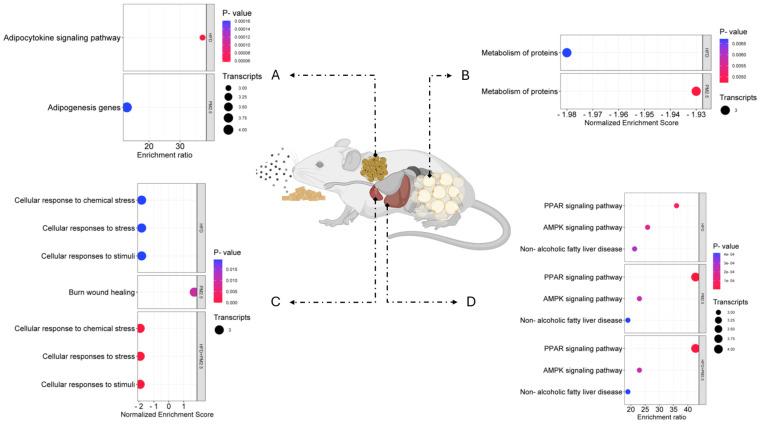 https://cdn.ncbi.nlm.nih.gov/pmc/blobs/4ebe/11674716/8dc5b0d68ed8/biomolecules-14-01607-g006.jpg