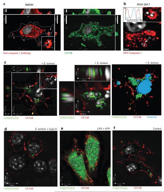 https://cdn.ncbi.nlm.nih.gov/pmc/blobs/4ebe/3708594/78c3ace442d2/nihms-461789-f0001.jpg