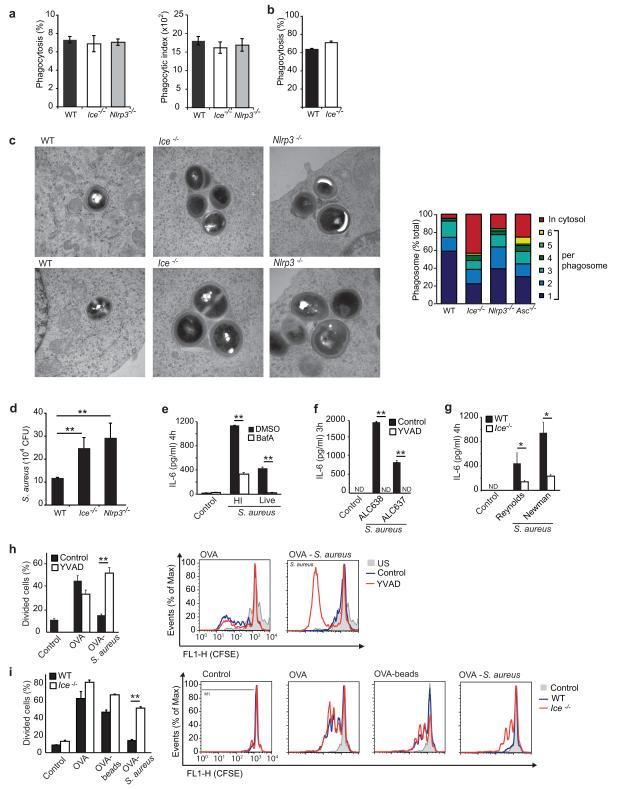 https://cdn.ncbi.nlm.nih.gov/pmc/blobs/4ebe/3708594/f3d15a15959e/nihms-461789-f0007.jpg