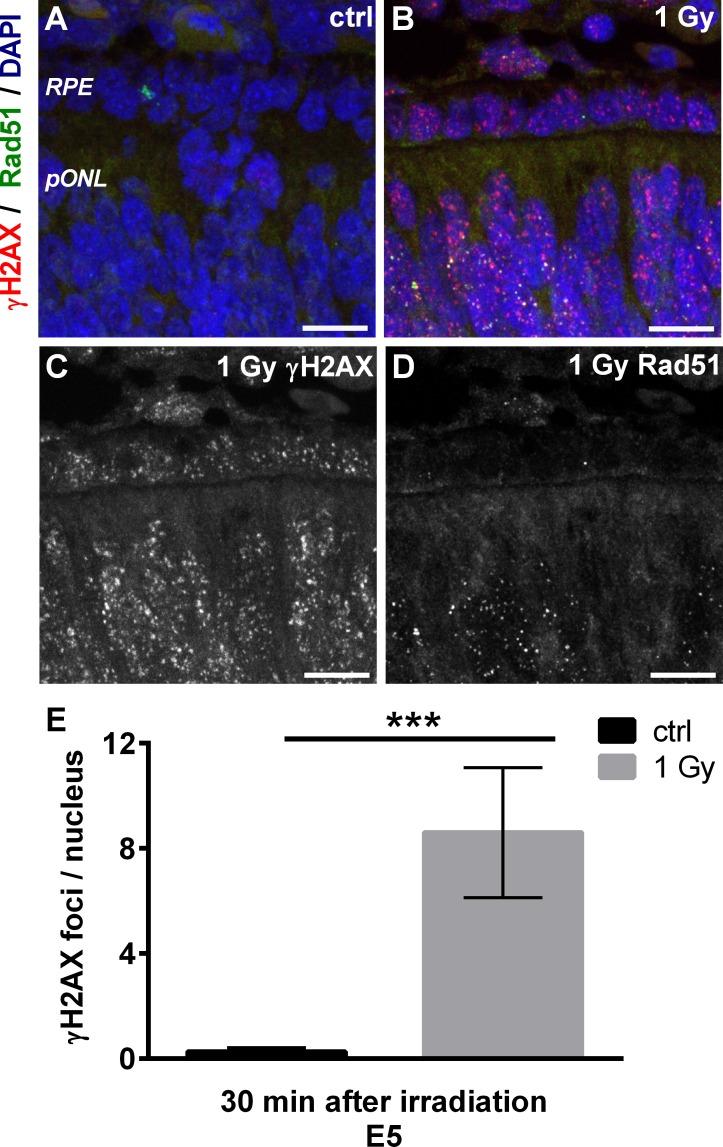 https://cdn.ncbi.nlm.nih.gov/pmc/blobs/4ec0/4862647/2f99420bca16/pone.0155093.g001.jpg