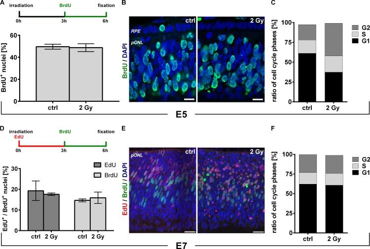 https://cdn.ncbi.nlm.nih.gov/pmc/blobs/4ec0/4862647/651de2e22491/pone.0155093.g002.jpg