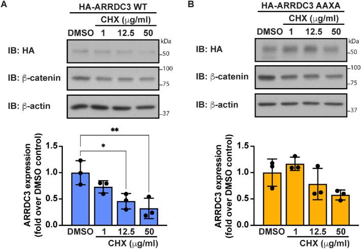 https://cdn.ncbi.nlm.nih.gov/pmc/blobs/4ec2/10398895/2672df9a427f/mbc-34-ar93-g006.jpg