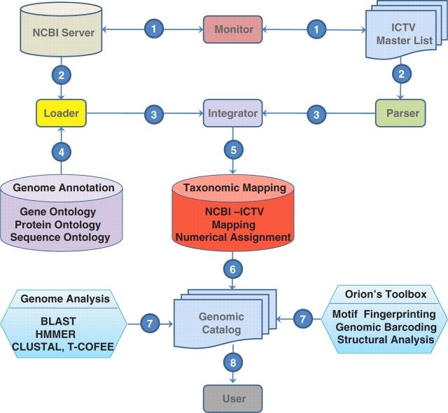 https://cdn.ncbi.nlm.nih.gov/pmc/blobs/4ec3/2790308/0e608bfe24fc/bap014f2.jpg