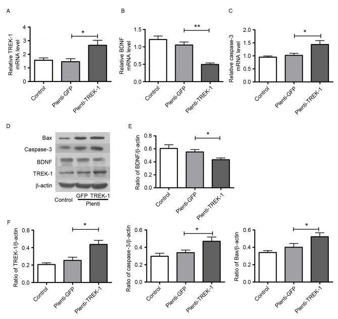 https://cdn.ncbi.nlm.nih.gov/pmc/blobs/4ec3/5865860/ca2abc95393c/mmr-16-05-7305-g02.jpg