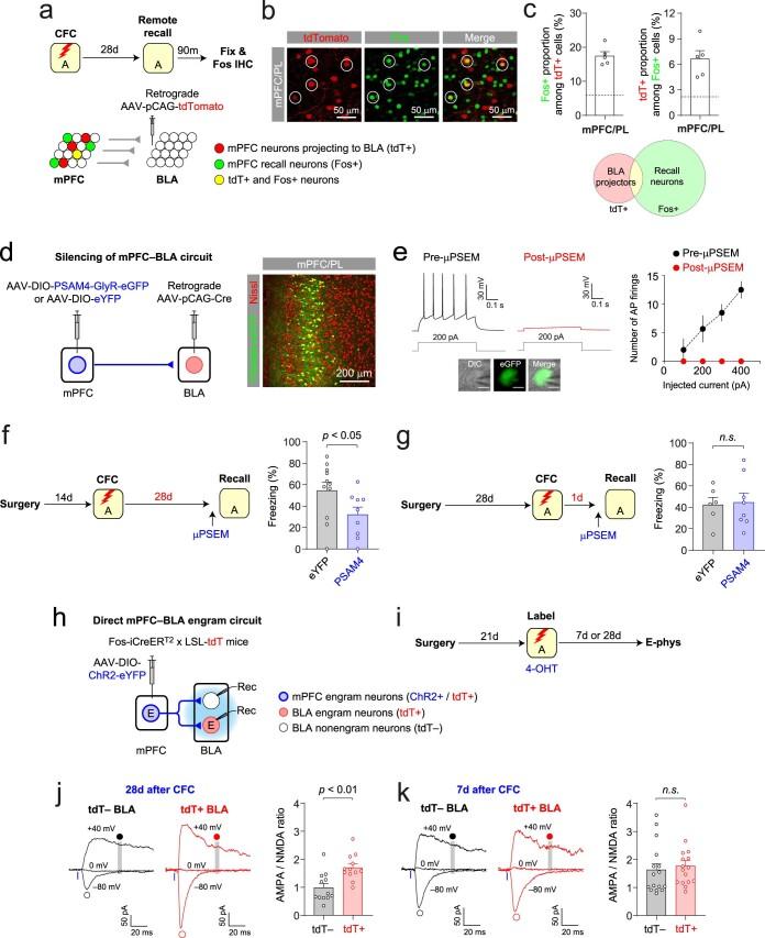 https://cdn.ncbi.nlm.nih.gov/pmc/blobs/4ec3/9905017/3dbcecf6e501/41593_2022_1223_Fig17_ESM.jpg