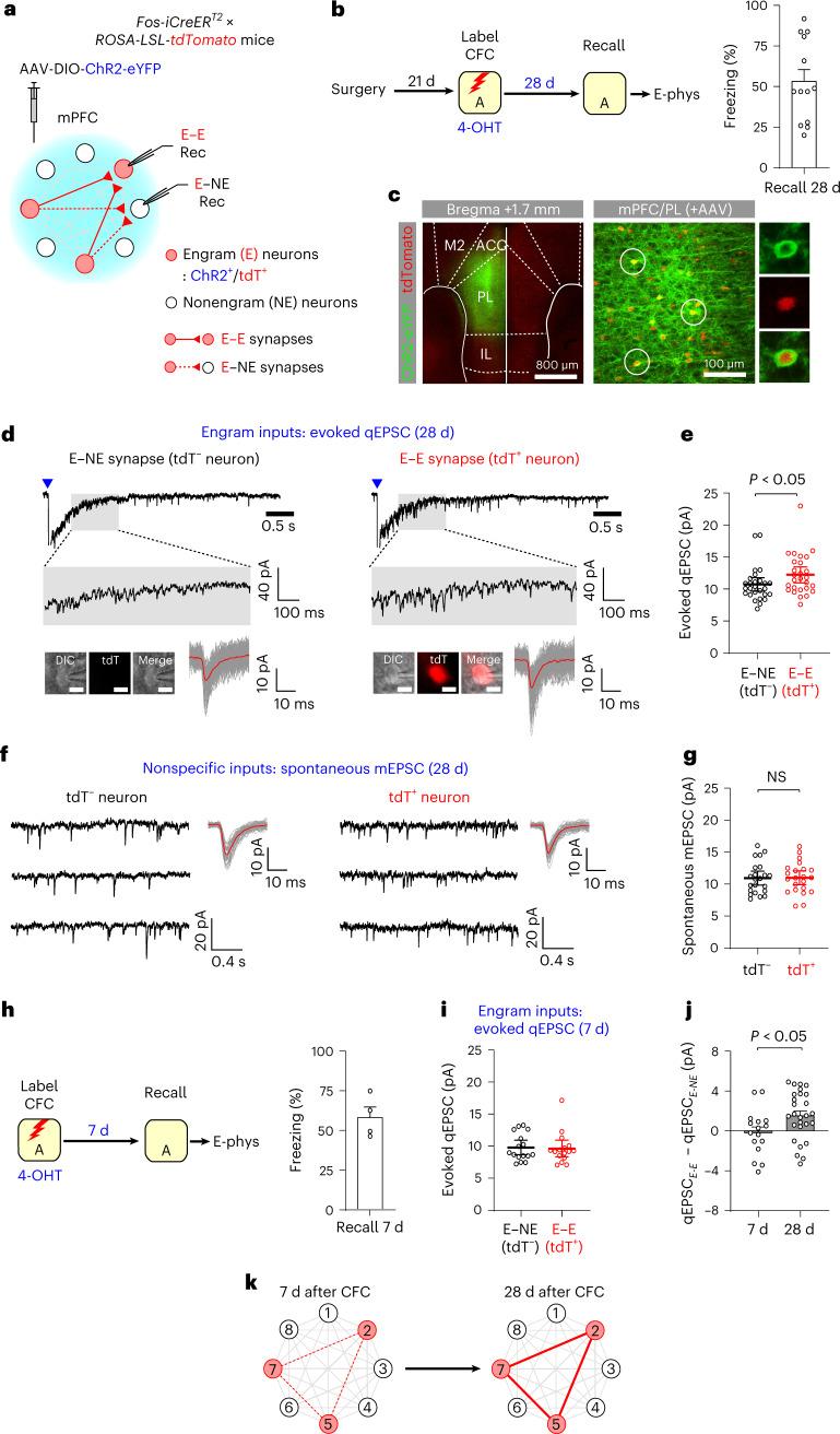 https://cdn.ncbi.nlm.nih.gov/pmc/blobs/4ec3/9905017/5420316c6ebb/41593_2022_1223_Fig4_HTML.jpg