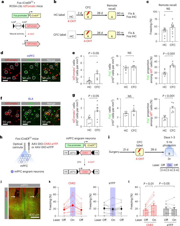 https://cdn.ncbi.nlm.nih.gov/pmc/blobs/4ec3/9905017/552f7b5bcad5/41593_2022_1223_Fig1_HTML.jpg