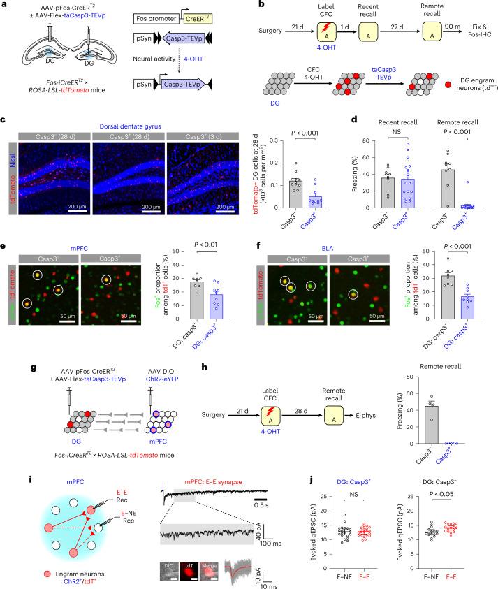 https://cdn.ncbi.nlm.nih.gov/pmc/blobs/4ec3/9905017/8c6a5704e982/41593_2022_1223_Fig5_HTML.jpg
