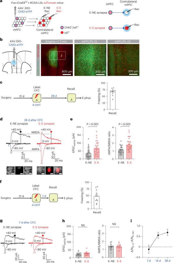 https://cdn.ncbi.nlm.nih.gov/pmc/blobs/4ec3/9905017/b422c9f0360c/41593_2022_1223_Fig2_HTML.jpg