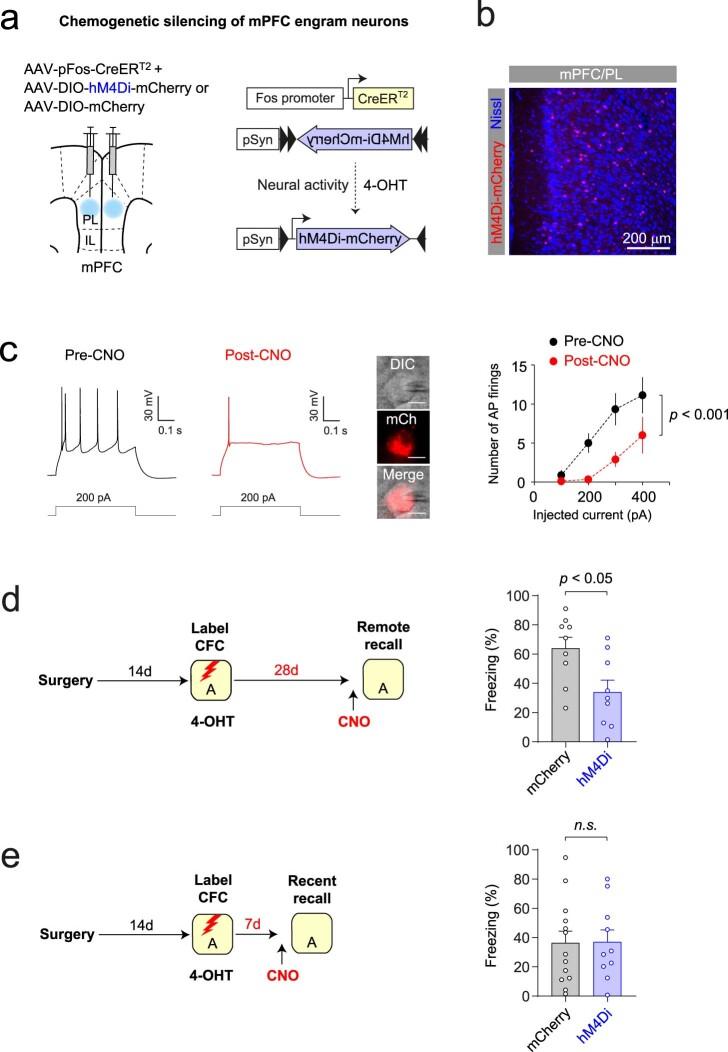 https://cdn.ncbi.nlm.nih.gov/pmc/blobs/4ec3/9905017/b53c09af9d99/41593_2022_1223_Fig11_ESM.jpg