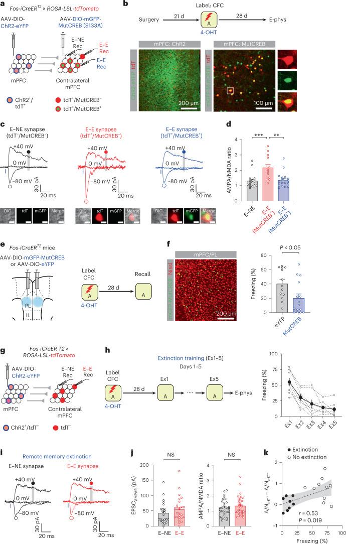 https://cdn.ncbi.nlm.nih.gov/pmc/blobs/4ec3/9905017/ba6da4c09deb/41593_2022_1223_Fig3_HTML.jpg
