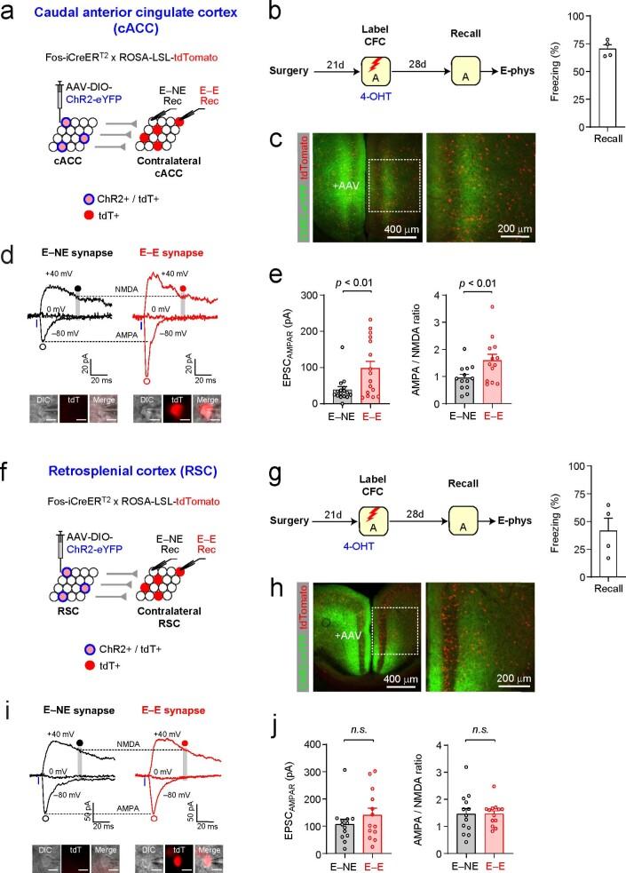 https://cdn.ncbi.nlm.nih.gov/pmc/blobs/4ec3/9905017/d1bc9db1b775/41593_2022_1223_Fig13_ESM.jpg