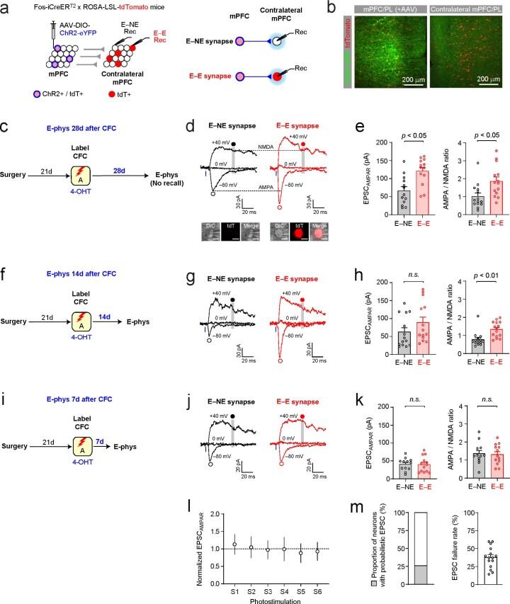 https://cdn.ncbi.nlm.nih.gov/pmc/blobs/4ec3/9905017/d3a3cb381bbd/41593_2022_1223_Fig10_ESM.jpg