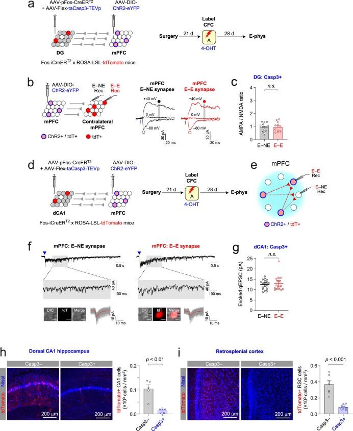 https://cdn.ncbi.nlm.nih.gov/pmc/blobs/4ec3/9905017/e4665bd528a8/41593_2022_1223_Fig16_ESM.jpg