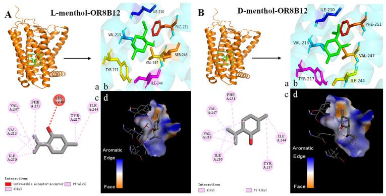https://cdn.ncbi.nlm.nih.gov/pmc/blobs/4ec4/12294335/a380f19567dc/foods-14-02494-g005a.jpg