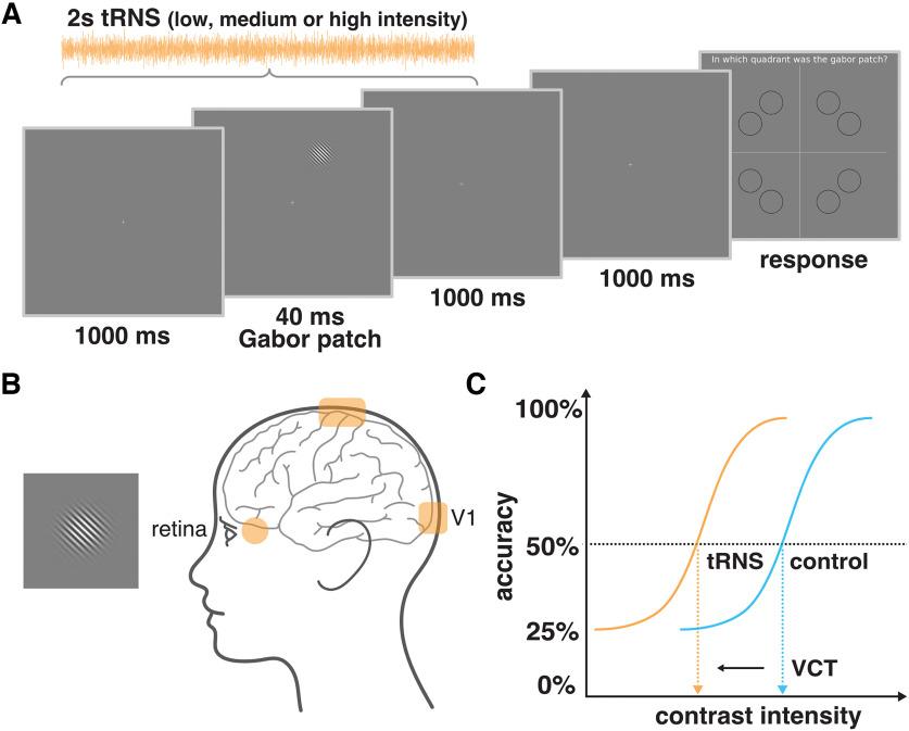 https://cdn.ncbi.nlm.nih.gov/pmc/blobs/4ec5/10278678/1ae1fccccfbe/ENEURO.0177-22.2023_f003.jpg