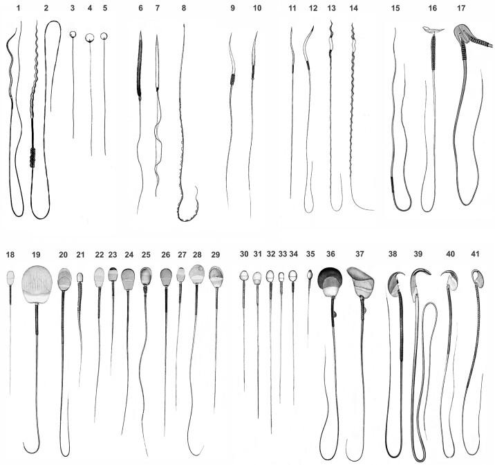 https://cdn.ncbi.nlm.nih.gov/pmc/blobs/4ec6/8812575/8cd76d2d322b/physrev.00009.2020_f002.jpg