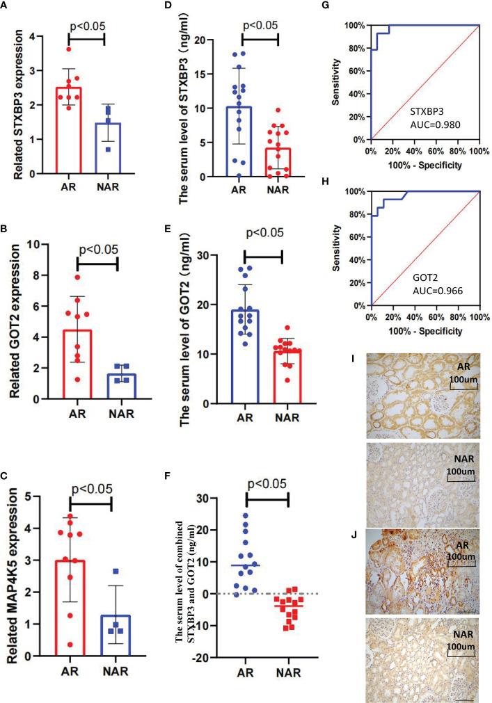 https://cdn.ncbi.nlm.nih.gov/pmc/blobs/4ec7/9751189/7abfd8cdda95/fimmu-13-1025681-g005.jpg