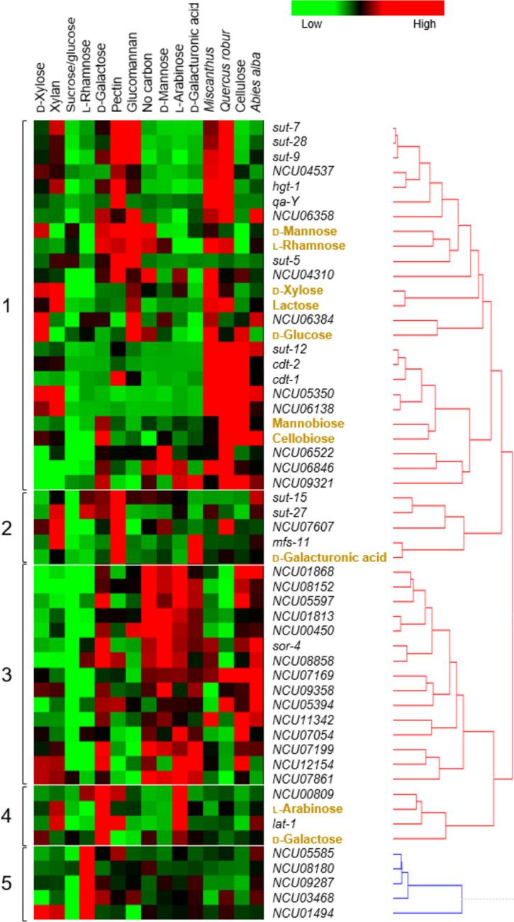 https://cdn.ncbi.nlm.nih.gov/pmc/blobs/4ecb/10774165/2921f5961676/253_2023_12907_Fig3_HTML.jpg