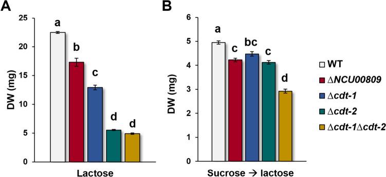 https://cdn.ncbi.nlm.nih.gov/pmc/blobs/4ecb/10774165/6782488e2187/253_2023_12907_Fig6_HTML.jpg