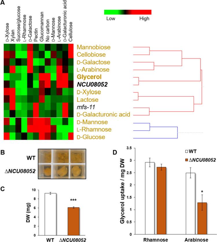 https://cdn.ncbi.nlm.nih.gov/pmc/blobs/4ecb/10774165/c527e19e34ab/253_2023_12907_Fig9_HTML.jpg