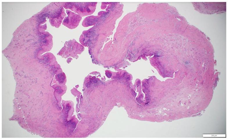 https://cdn.ncbi.nlm.nih.gov/pmc/blobs/4ecb/12071955/0c20c124bff3/healthcare-13-01068-g005.jpg