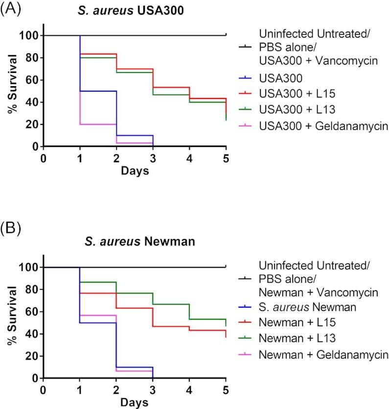 https://cdn.ncbi.nlm.nih.gov/pmc/blobs/4ecc/10117725/49ad4dadc257/uqac023fig5.jpg