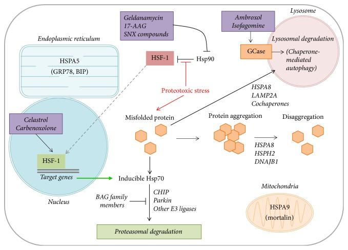 https://cdn.ncbi.nlm.nih.gov/pmc/blobs/4ecd/5585656/535f08ee09c0/PD2017-5015307.001.jpg