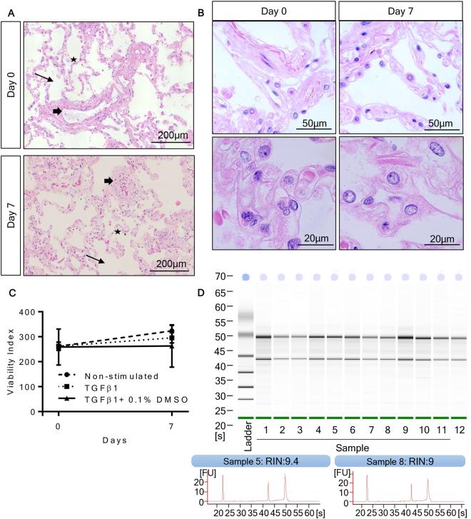 https://cdn.ncbi.nlm.nih.gov/pmc/blobs/4ecd/5762721/978376f6e4ec/41598_2017_18555_Fig1_HTML.jpg