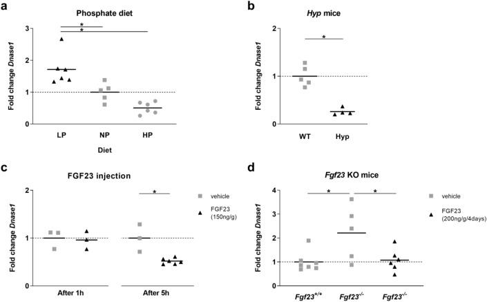 https://cdn.ncbi.nlm.nih.gov/pmc/blobs/4ece/7969776/3ba32d149b95/41598_2021_84735_Fig1_HTML.jpg