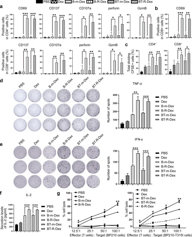 https://cdn.ncbi.nlm.nih.gov/pmc/blobs/4ece/9172178/2cdca14976f9/40164_2022_289_Fig3_HTML.jpg