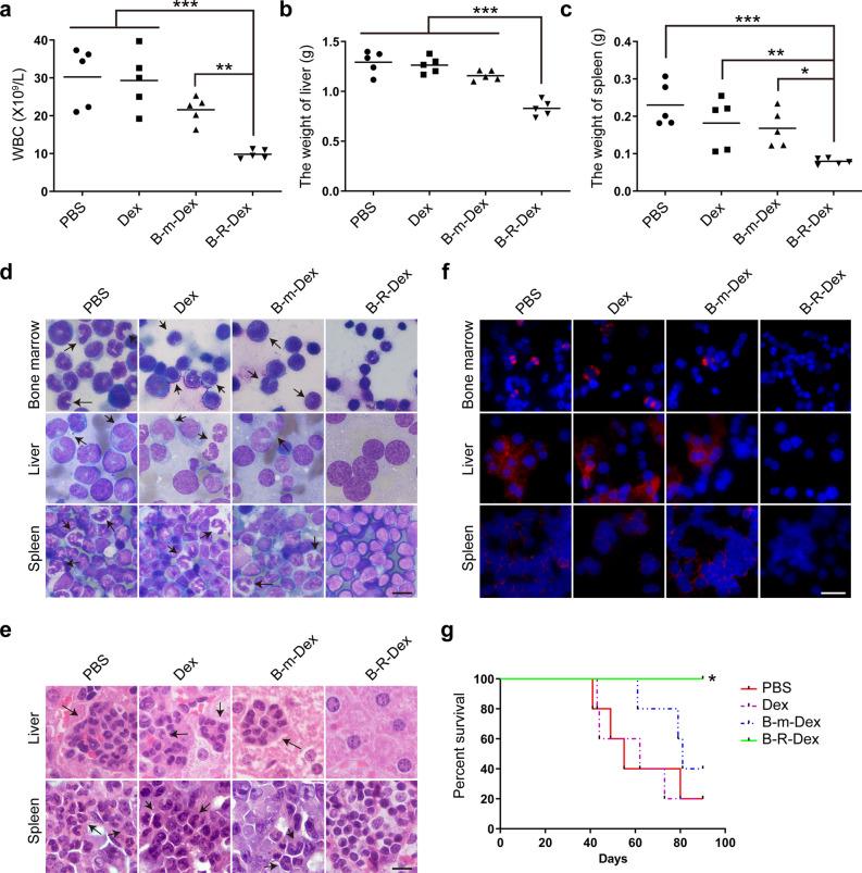 https://cdn.ncbi.nlm.nih.gov/pmc/blobs/4ece/9172178/9d085530c0a6/40164_2022_289_Fig5_HTML.jpg