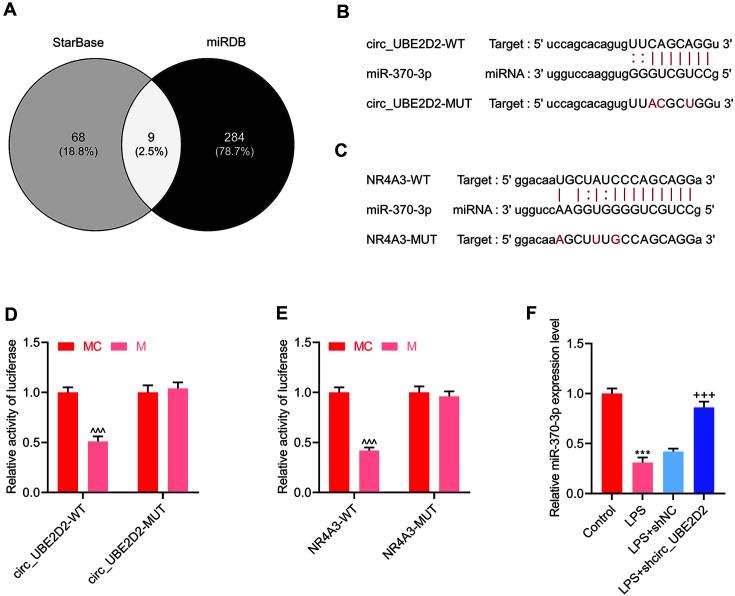 https://cdn.ncbi.nlm.nih.gov/pmc/blobs/4ece/9628902/d6a7d8ec05a1/jmb-32-6-740-f2.jpg