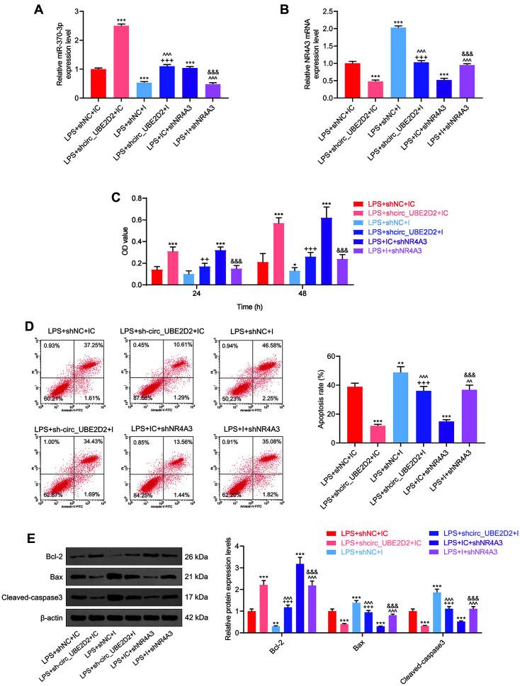 https://cdn.ncbi.nlm.nih.gov/pmc/blobs/4ece/9628902/dee79be78583/jmb-32-6-740-f3.jpg