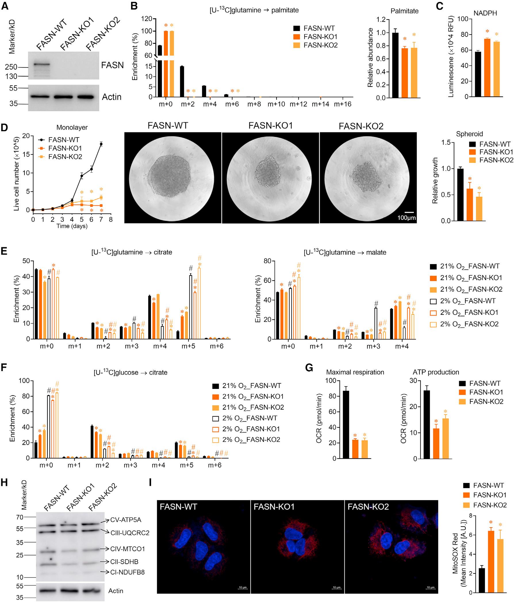 https://cdn.ncbi.nlm.nih.gov/pmc/blobs/4ecf/10528718/3a95c46f7983/nihms-1928282-f0003.jpg