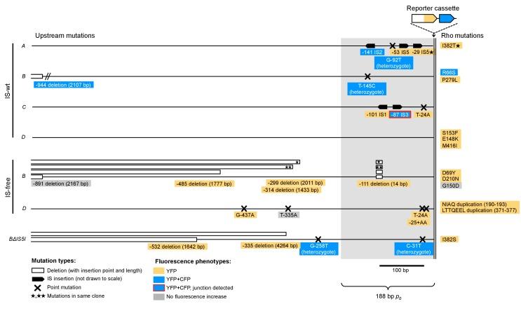 https://cdn.ncbi.nlm.nih.gov/pmc/blobs/4ecf/5526668/500c8d68afe6/elife-25100-fig3-figsupp2.jpg