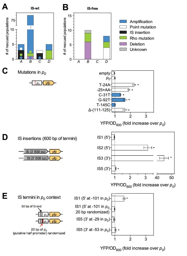 https://cdn.ncbi.nlm.nih.gov/pmc/blobs/4ecf/5526668/b07209b2c50f/elife-25100-fig3.jpg