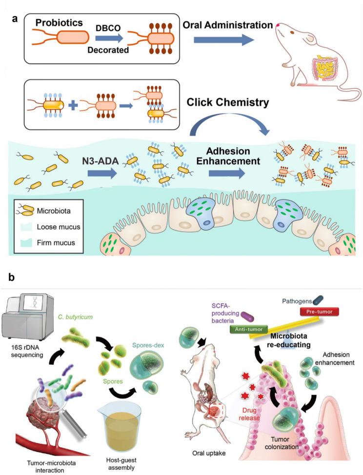 https://cdn.ncbi.nlm.nih.gov/pmc/blobs/4ed0/11786591/045c0270ec70/12951_2025_3141_Fig12_HTML.jpg