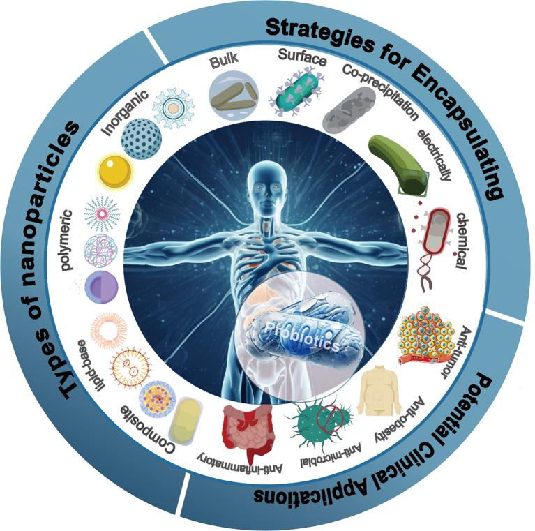 https://cdn.ncbi.nlm.nih.gov/pmc/blobs/4ed0/11786591/92fcc97c1e9a/12951_2025_3141_Fig1_HTML.jpg