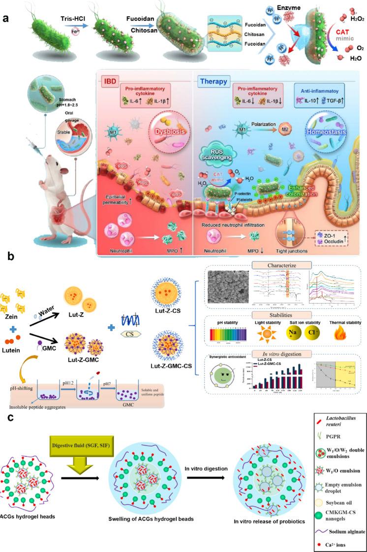 https://cdn.ncbi.nlm.nih.gov/pmc/blobs/4ed0/11786591/9354933d6f3b/12951_2025_3141_Fig8_HTML.jpg