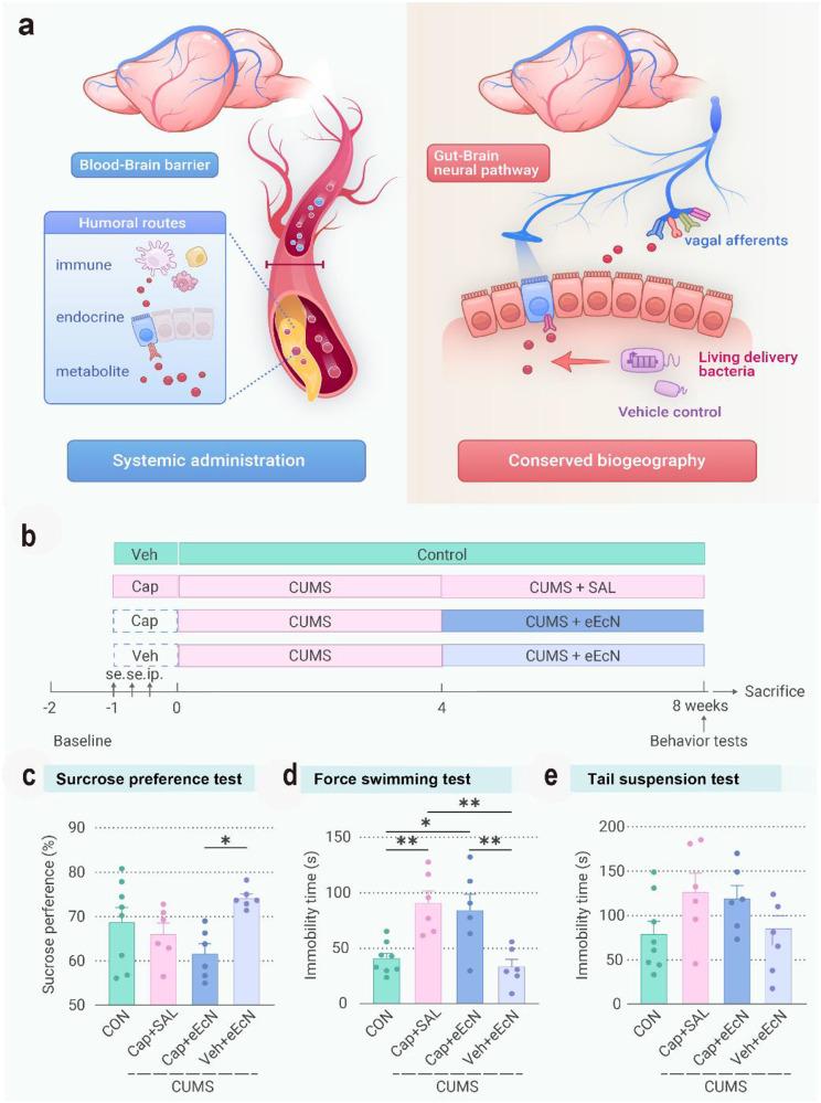 https://cdn.ncbi.nlm.nih.gov/pmc/blobs/4ed0/11786591/96c874005c13/12951_2025_3141_Fig23_HTML.jpg
