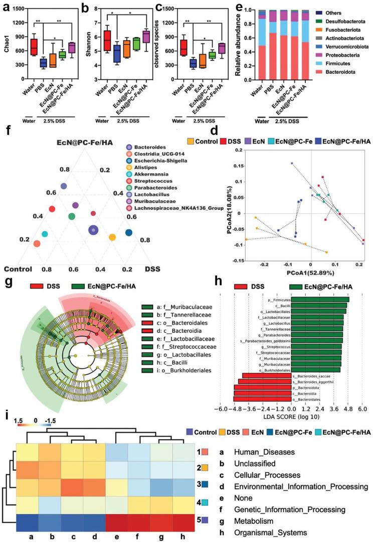 https://cdn.ncbi.nlm.nih.gov/pmc/blobs/4ed0/11786591/997a20a712bf/12951_2025_3141_Fig22_HTML.jpg