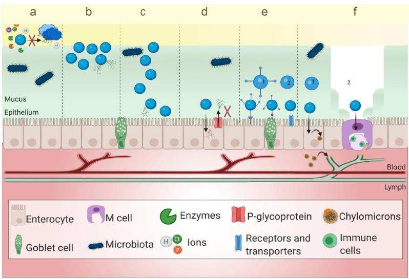 https://cdn.ncbi.nlm.nih.gov/pmc/blobs/4ed0/11786591/9d4d8a6afae9/12951_2025_3141_Fig7_HTML.jpg
